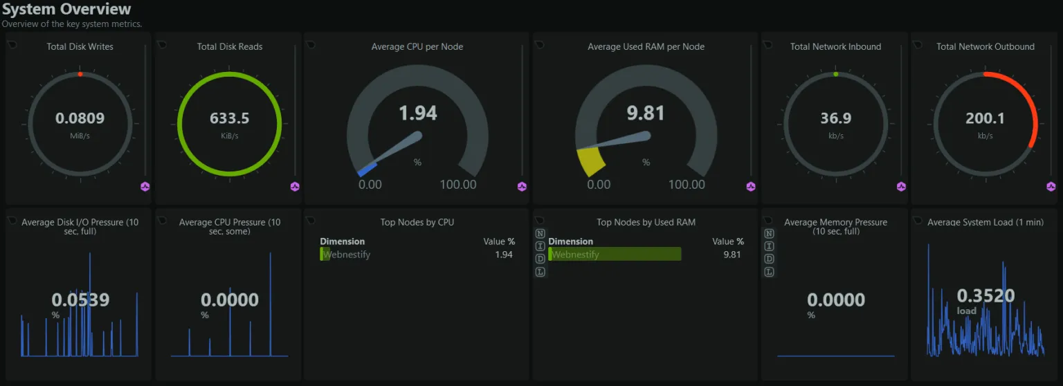 Netdata system overview dashboard showing real-time CPU, memory, disk, and network metrics across a self-hosted server